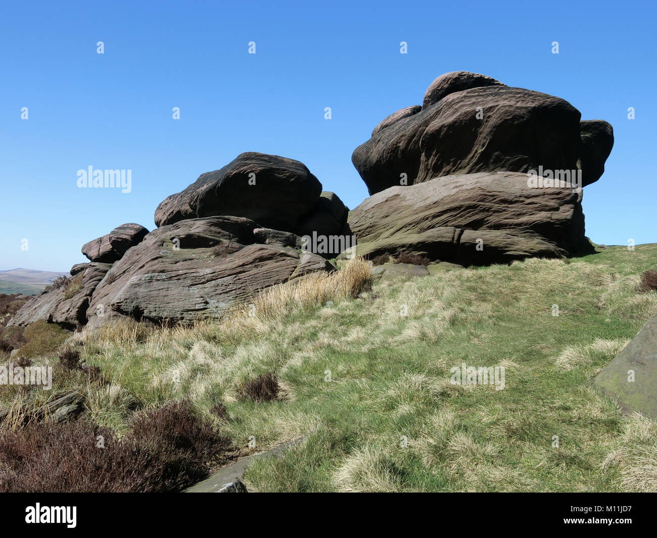 Gritstone Böschung an der Kakerlaken, Staffordshire Moorlands, Peak District National Park, Staffordshire, England, UK im April Stockfoto
