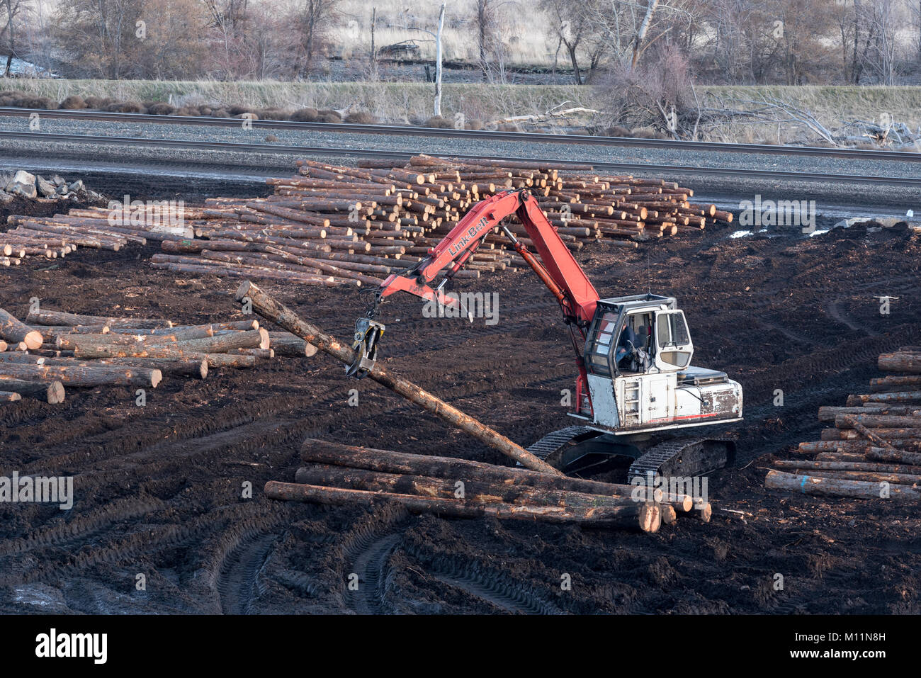 Log Loader, die Protokolle in der log Yard von Blue Mt Schnittholzprodukte in Pendleton, Oregon. Stockfoto