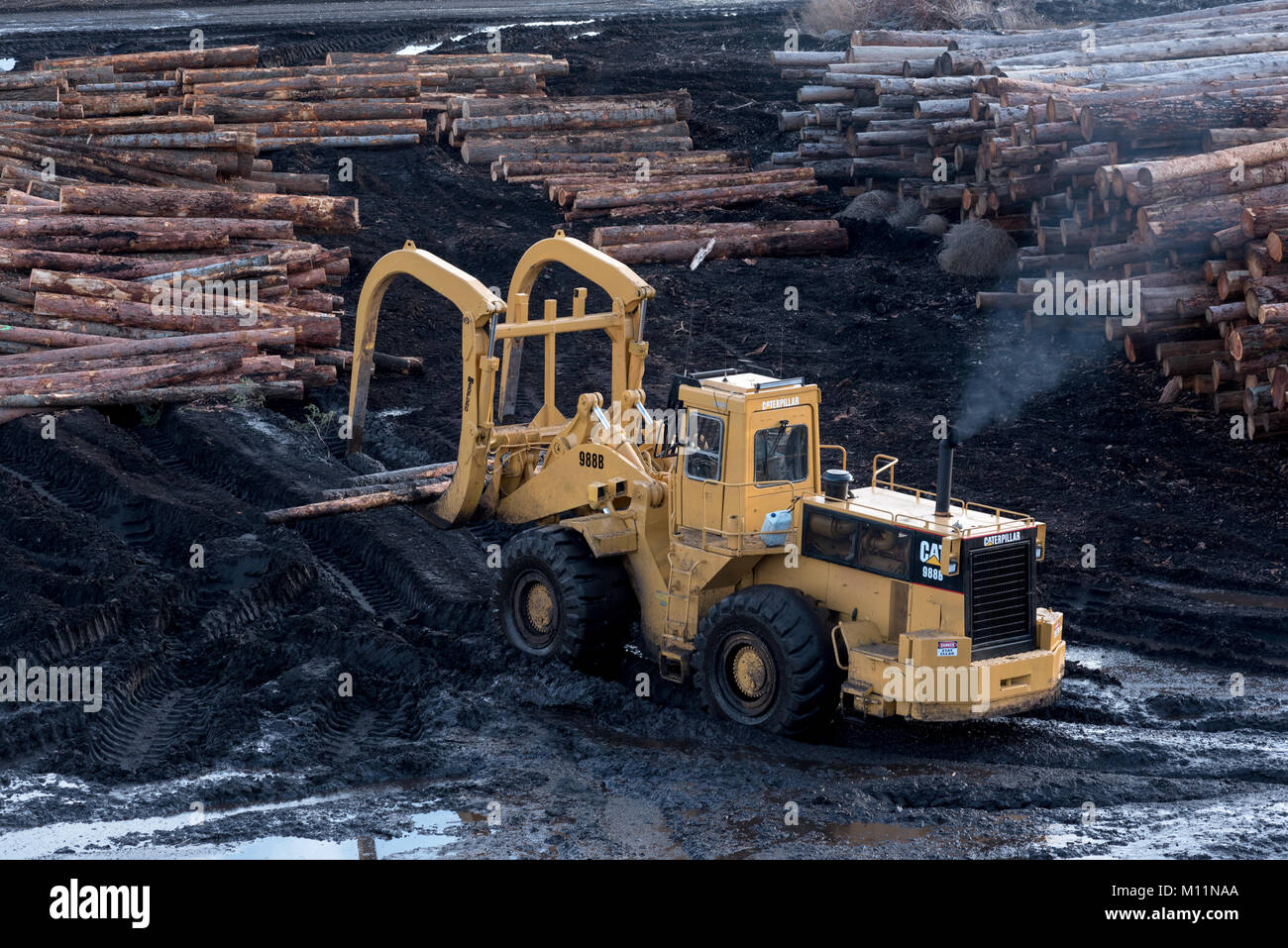 Radlader, die Protokolle in der log Yard von Blue Mt Schnittholzprodukte in Pendleton, Oregon. Stockfoto