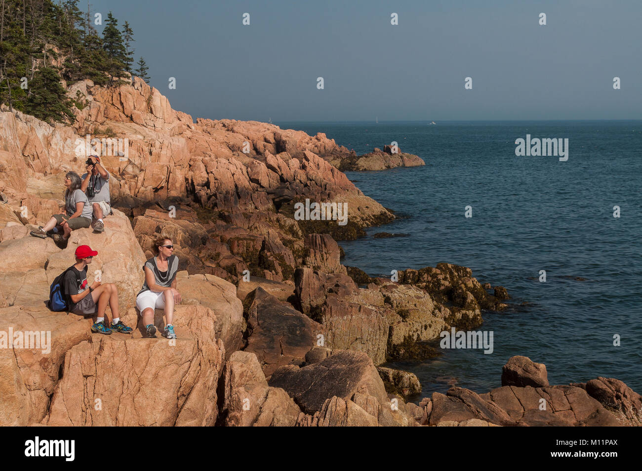 Besucher genießen die Küste von Maine in der Nähe von Bass Harbor, Acadia National Park, Maine Stockfoto