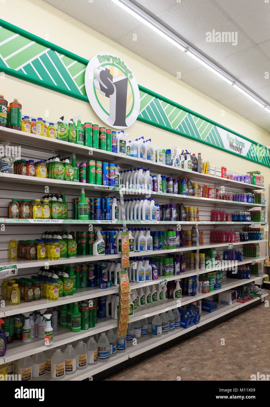 Reinigung Produkte für den Verkauf in den Regalen ein Dollar Tree store in Fort Lauderdale, Florida, USA. Stockfoto