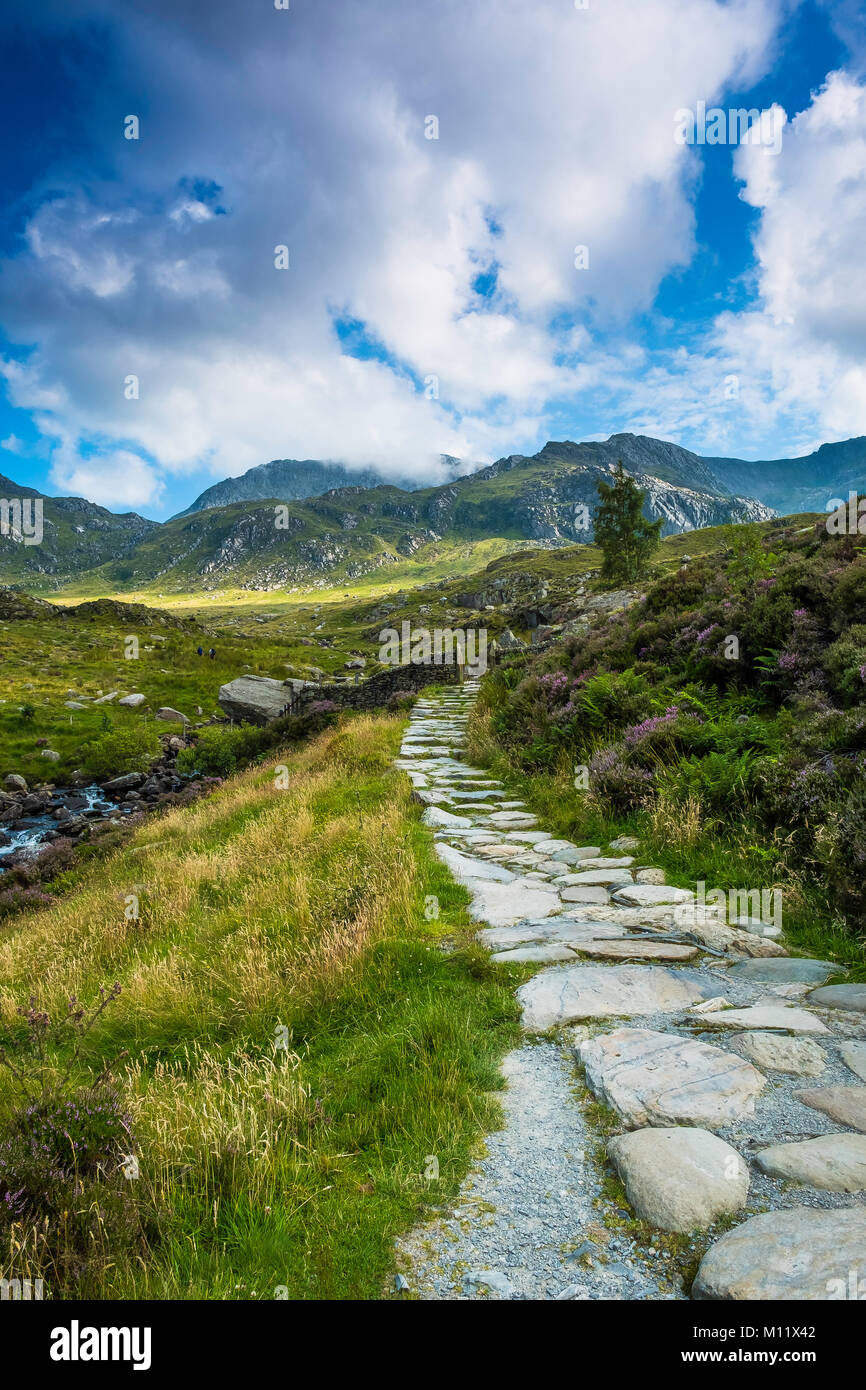 Weg zur Glyderau Strecke der Berge führen. Stockfoto