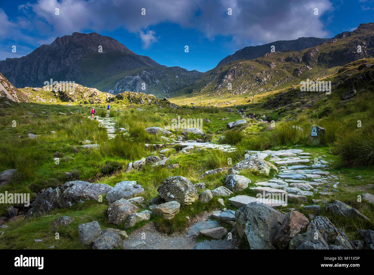 Weg in die Glyderau Strecke der Berge führen. Stockfoto