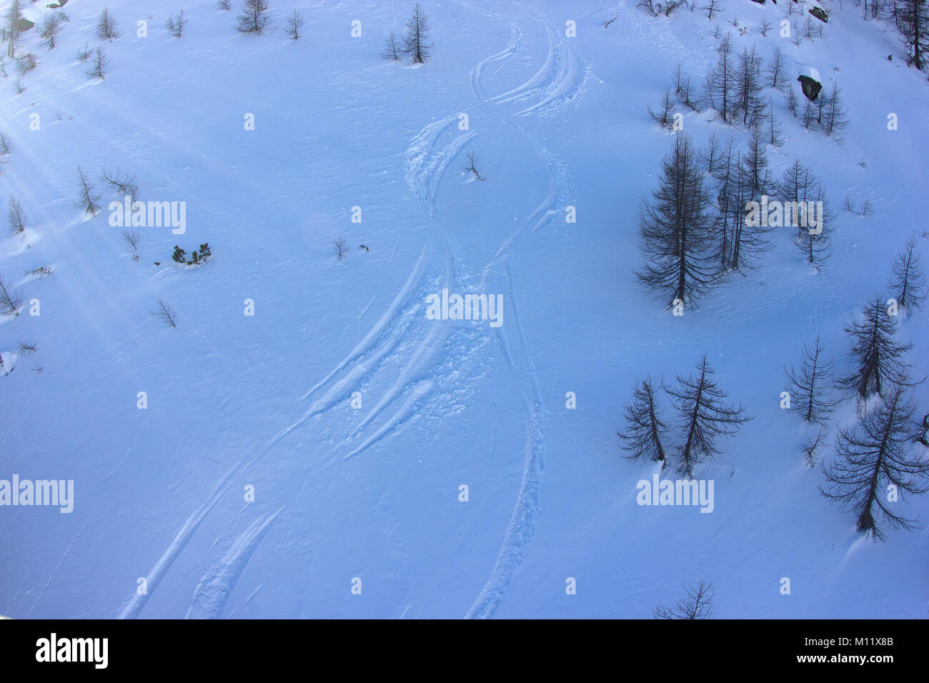 Off Piste Spuren im frischen Schnee im Skigebiet "Chiesa in Valmalenco', Sondrio, Italien Stockfoto