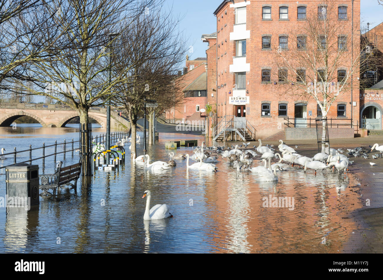 High River in Worcester führt zum Ufer des Flusses Severn Überschwemmungen Stockfoto