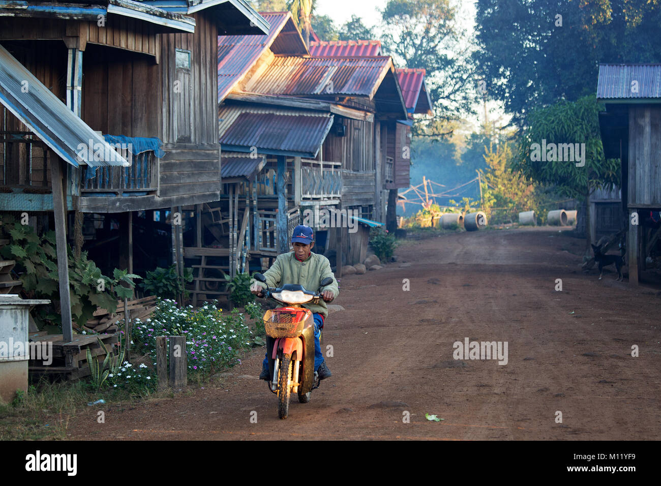 Am frühen Morgen in Tad Lo Dorf - südliche Laos Stockfoto