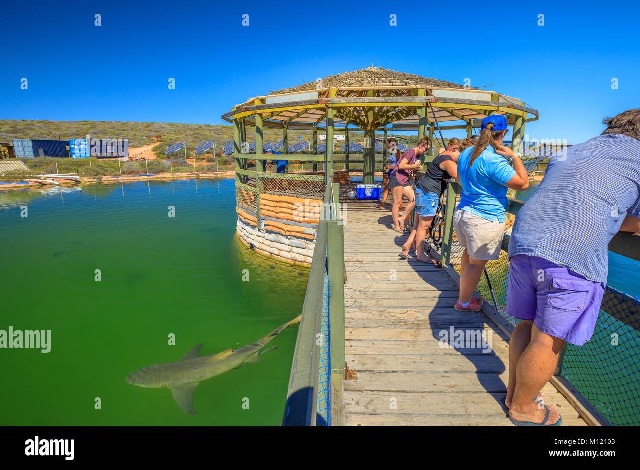 Ocean Park Aquarium Denham Stockfoto