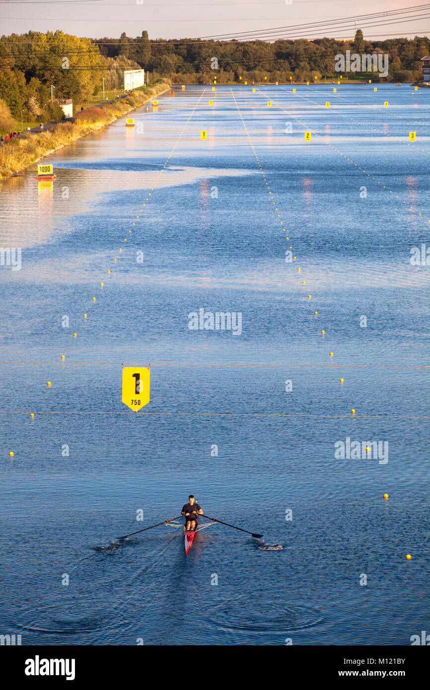 Deutschland, Köln, Boat Race Kurs am See Fuehlingen, sculler. Deutschland, Koeln, Regattastrecke bin Fuehlinger sehen, Ruderer. Stockfoto