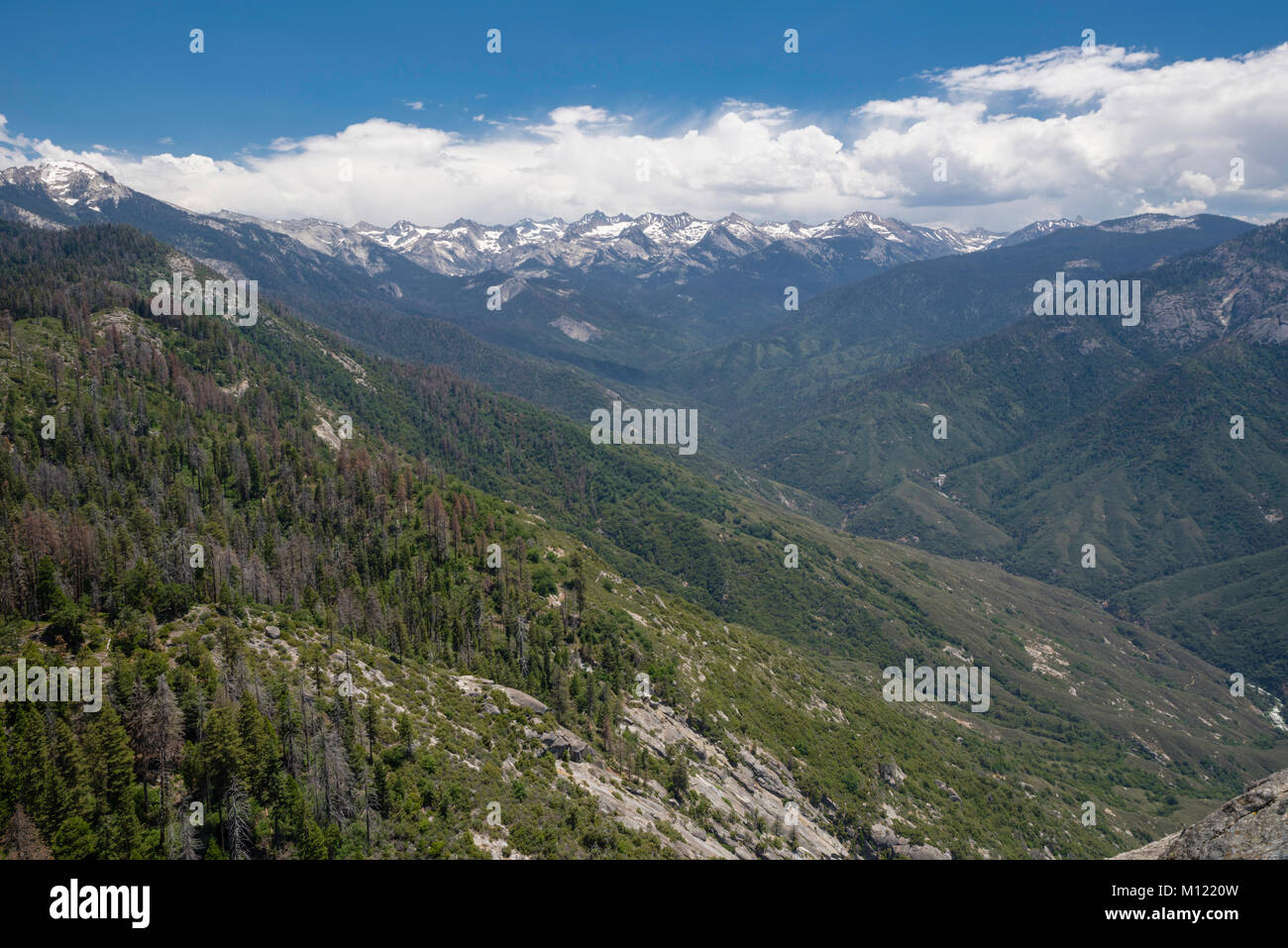 Mit Blick auf die Berge der Sierra Nevada von Moro Rock, Sequoia National Park, Tulare County, Kalifornien, USA. Stockfoto
