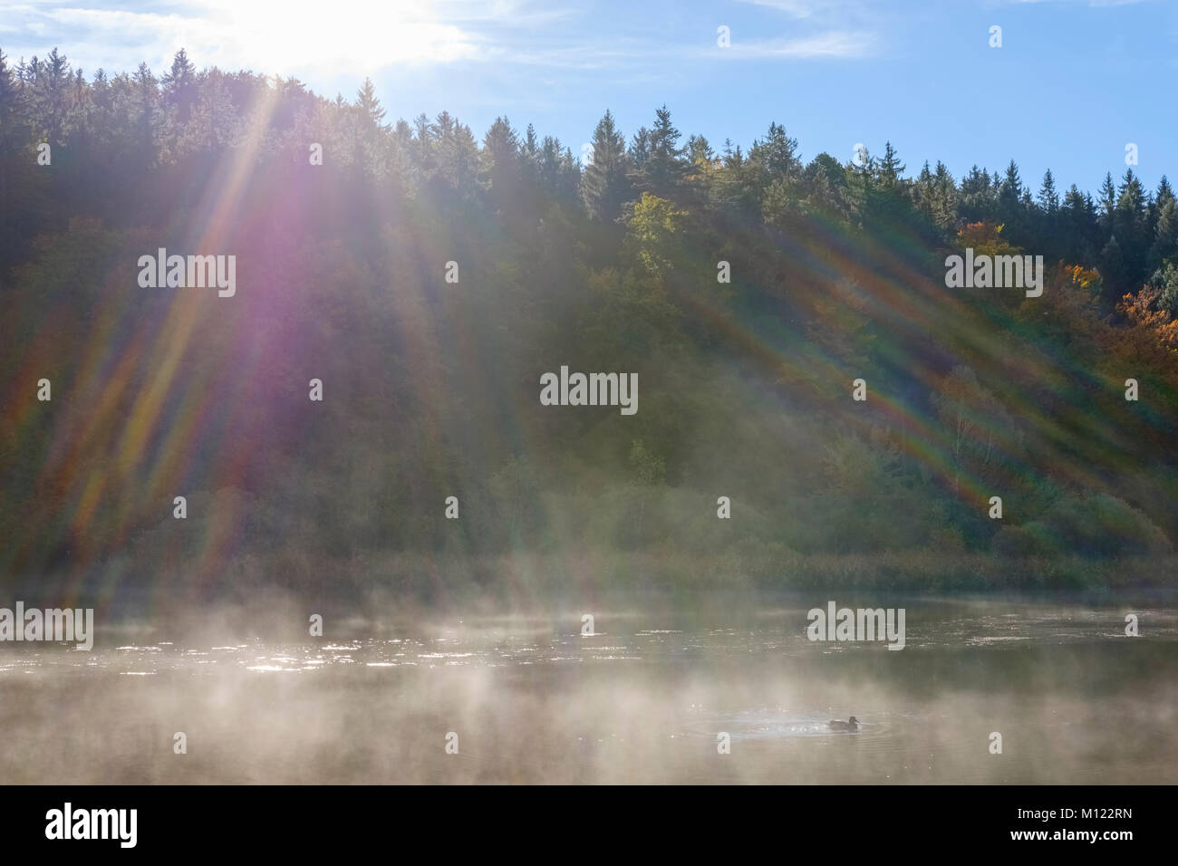Sonnenstrahlen im Nebel, Deininger Weiher, Straßlach-Dingharting, Oberbayern, Bayern, Deutschland Stockfoto