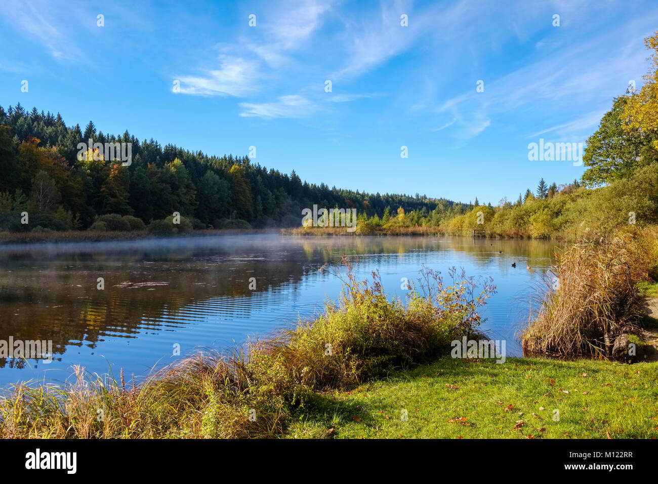 Deininger Weiher, Straßlach-Dingharting, Oberbayern, Bayern, Deutschland Stockfoto