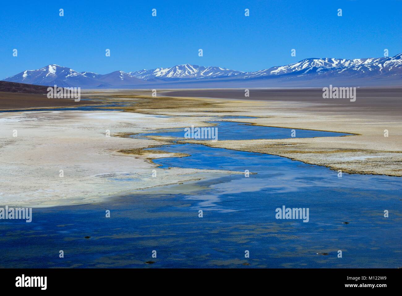 Laguna Santa Rosa mit dem Nevado Tres Cruces Vulkan, Nationalpark Nevado Tres Cruces, Región de Atacama, Chile Stockfoto