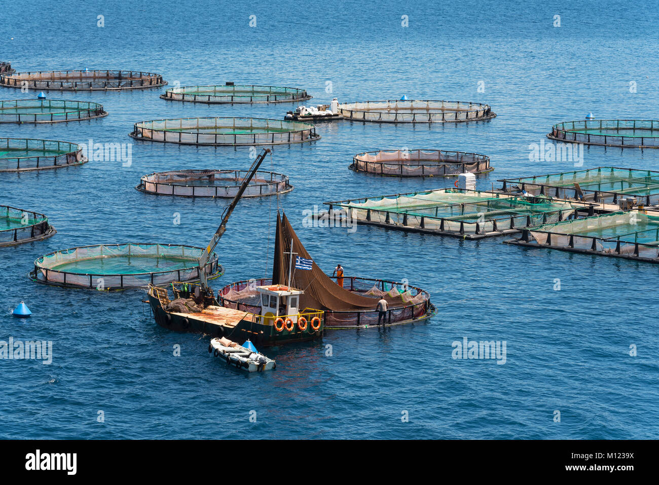Fischzucht auf dem Meer. Insel Korfu. Griechenland. Stockfoto