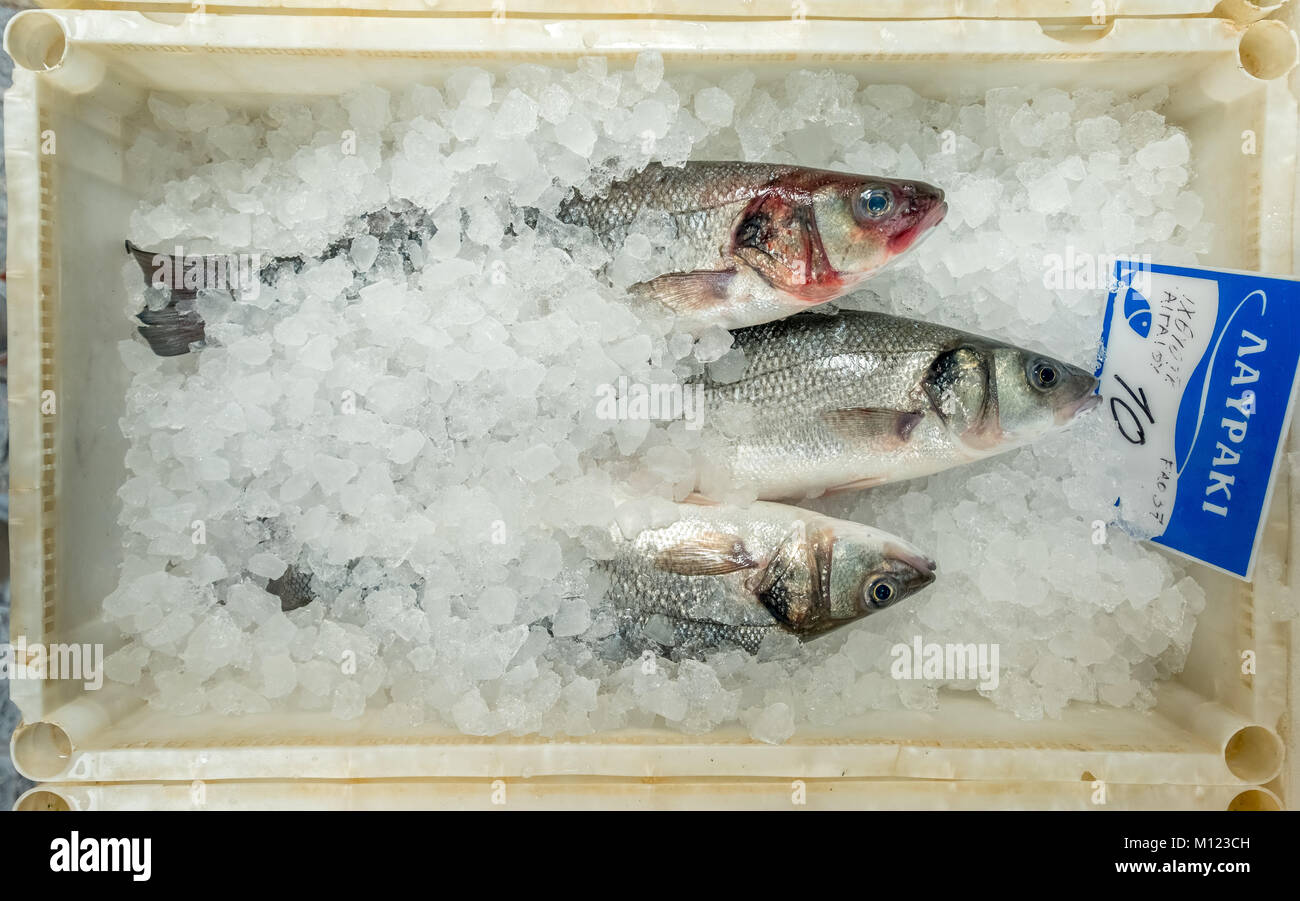 Essbare Fische zum Verkauf, Fisch auf Eis, Rethymno, Kreta, Griechenland Stockfoto