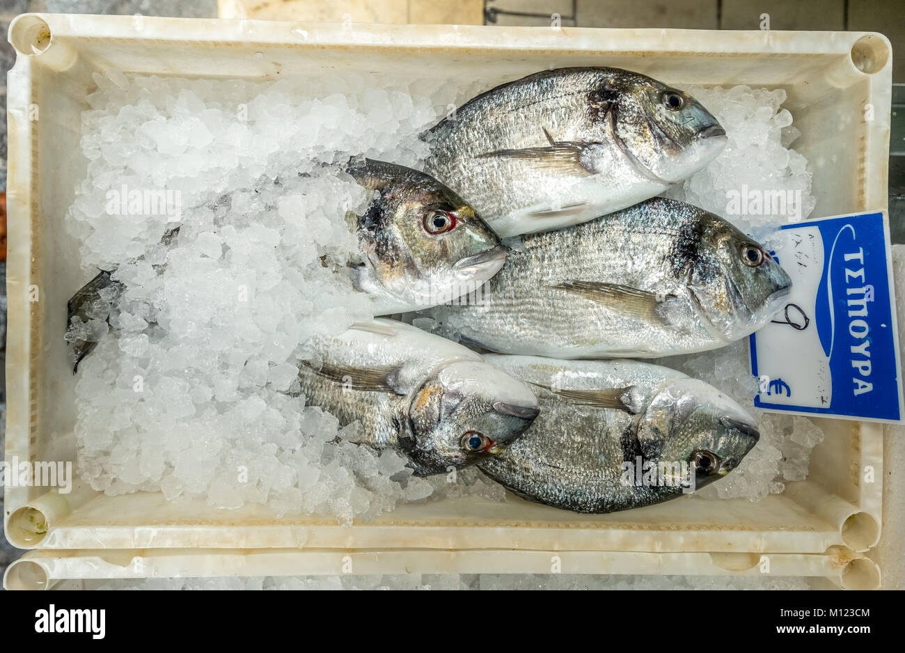 Essbare Fische zum Verkauf, Dorads, Fisch auf Eis, Rethymno, Kreta, Griechenland Stockfoto