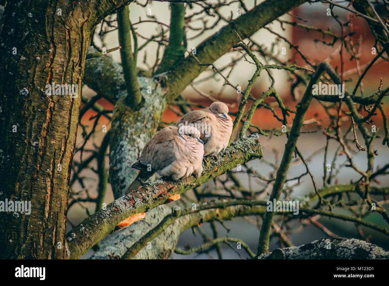 Zitternd Kalt Stockfotos Und Bilder Kaufen Alamy