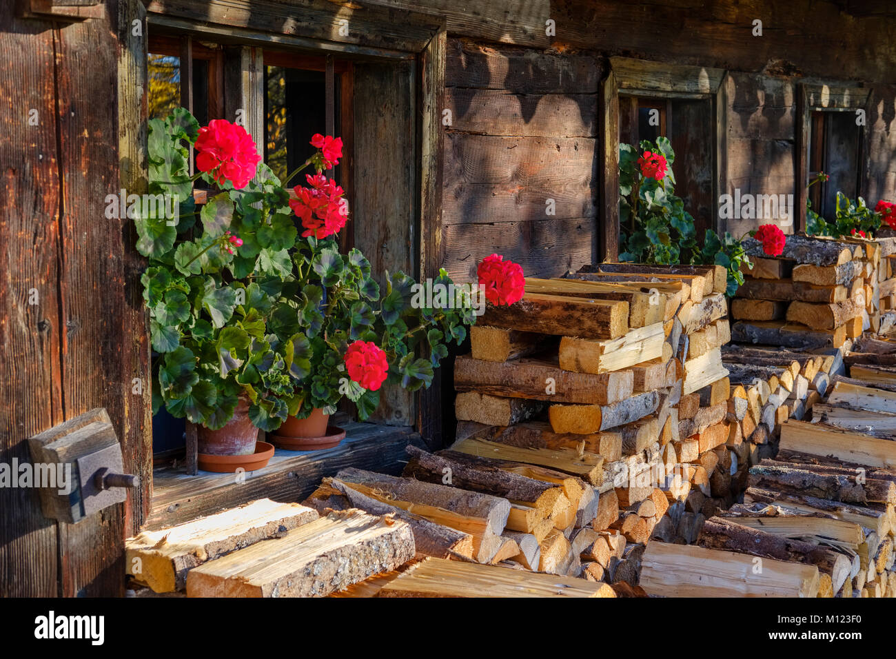 Geranien und Brennholz vor einem alten Bauernhof, Kappl-Hof, Freilichtmuseum Finsterau, Mauth, Bayerischer Wald, Niederbayern Stockfoto