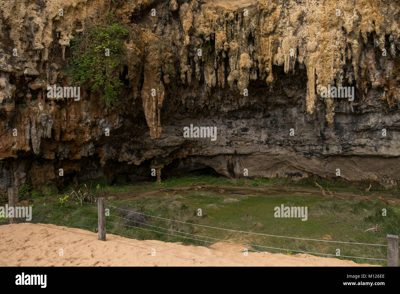 Malerische Kalksteinklippen und erodierte Küstenformationen entlang der Great Ocean Road, Victoria, Australien - ein zeitloses Naturwunder, das durch Wind und W geformt wird Stockfoto