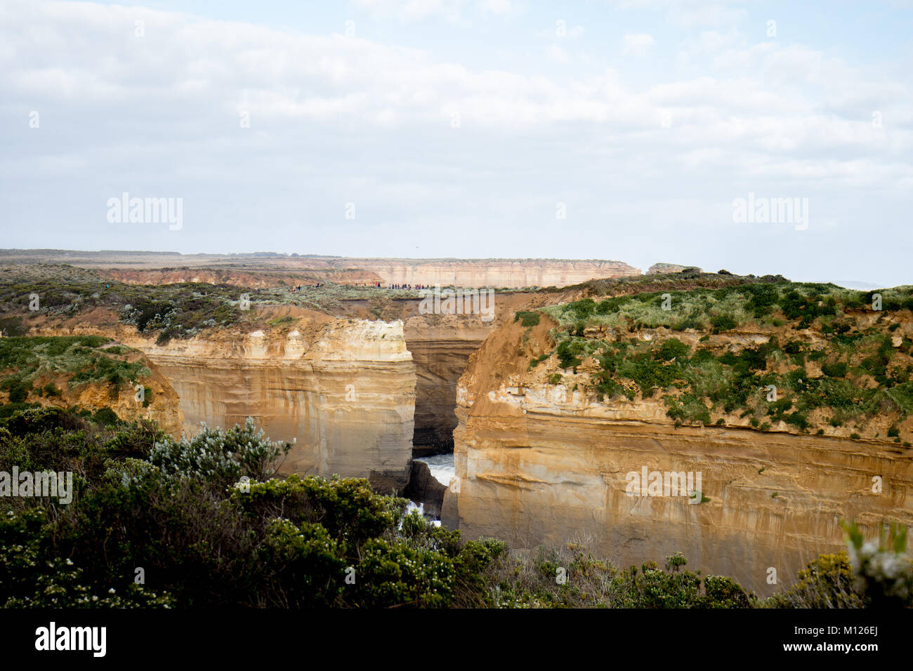 Malerische Kalksteinklippen und erodierte Küstenformationen entlang der Great Ocean Road, Victoria, Australien - ein zeitloses Naturwunder, das durch Wind und W geformt wird Stockfoto