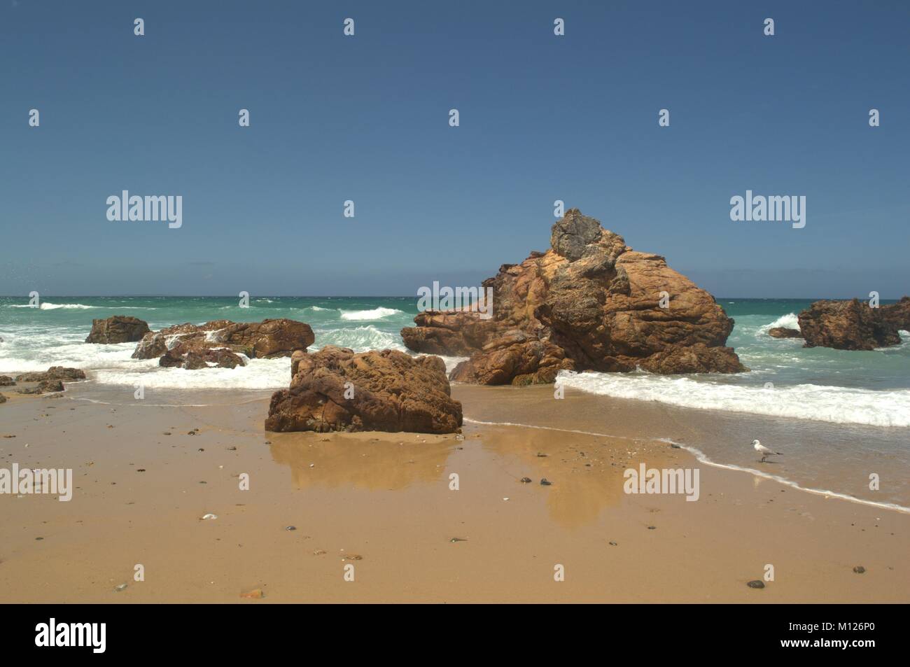 Felsen am Strand Stockfoto