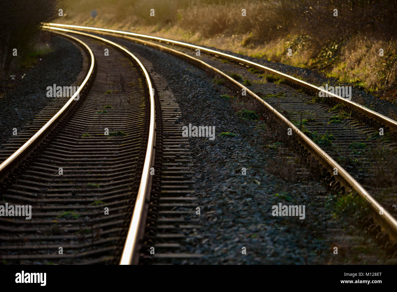 Gebogene Linien funkeln am Abend golden Sunshine Stockfoto