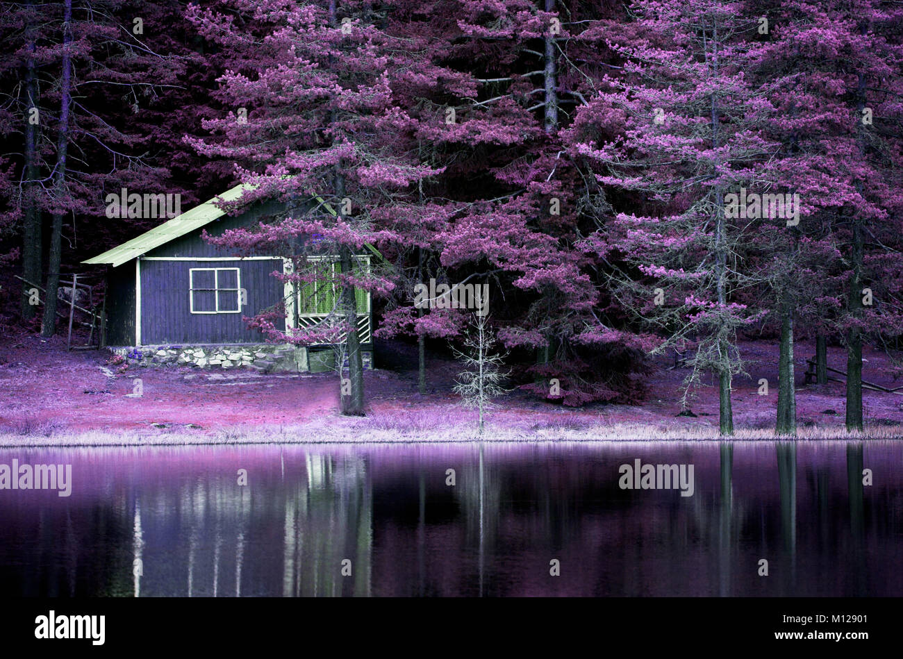 Lila infrarot Landschaft auf ruhigen See für Hintergrund oder Poster Stockfoto