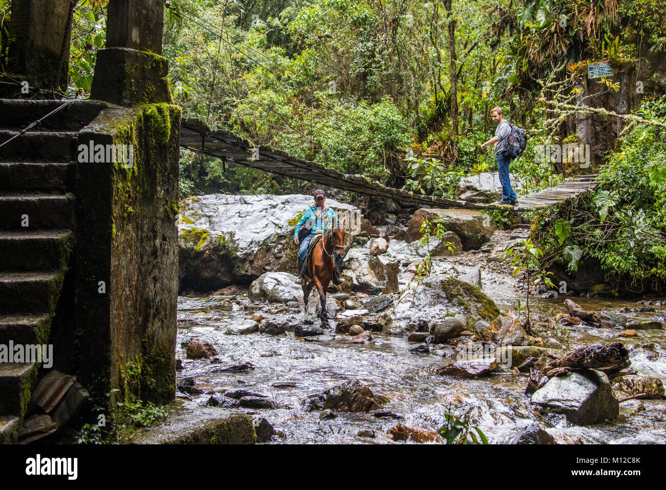 Wanderer hält eine Versorgung Horse Pass zu beobachten, Valle de Cocora Wanderweg, in der Nähe der Salento, Kolumbien, Südamerika Stockfoto