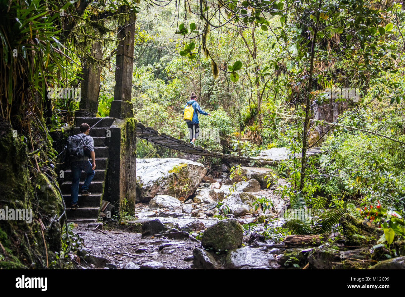 Valle de Cocora Wanderweg, in der Nähe der Salento, Kolumbien, Südamerika Stockfoto