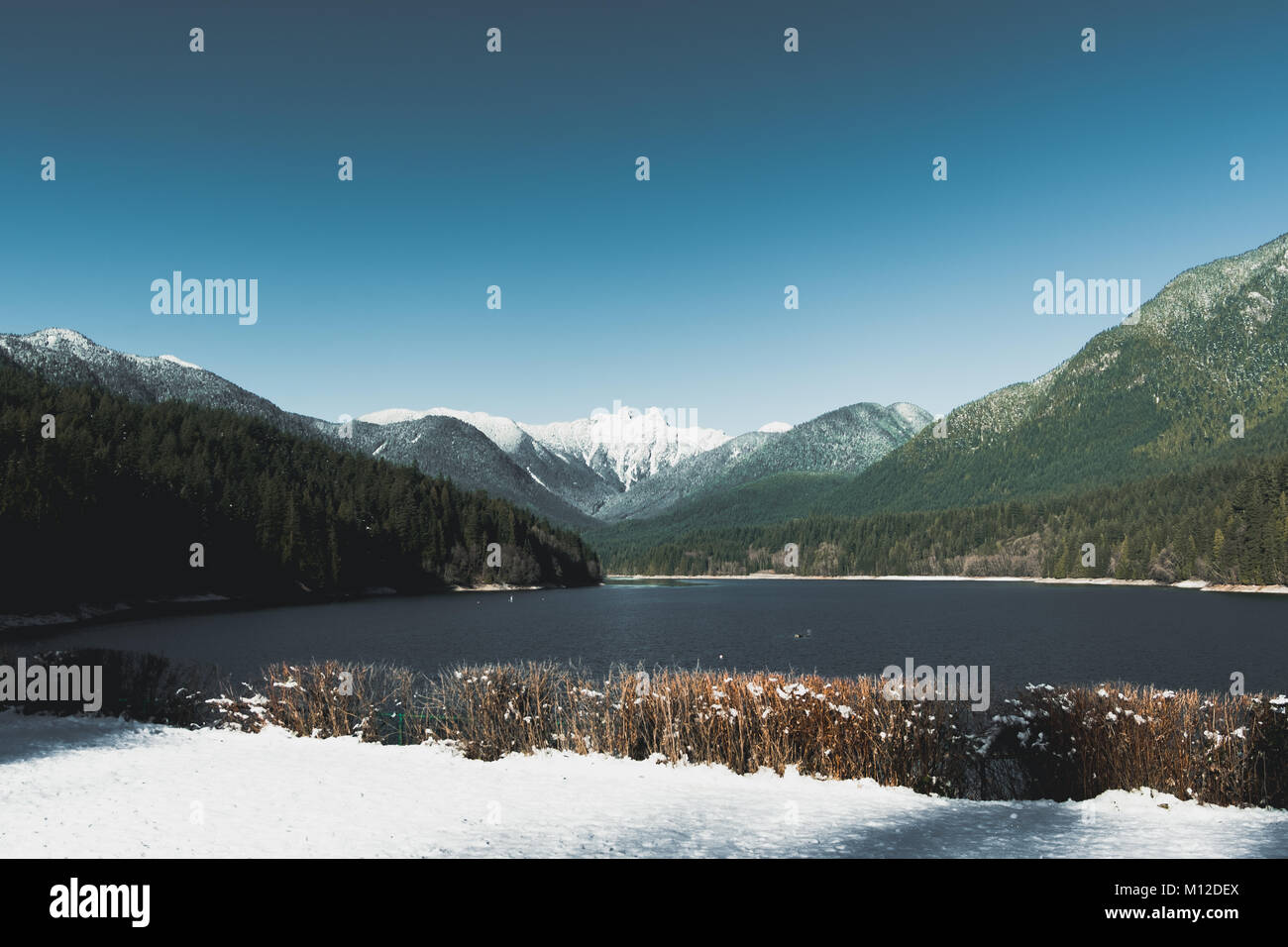 Blick auf Grouse Mountain und seine umliegende Landschaft von Capilano See/Cleveland Dam, North Vancouver, British Columbia, Kanada im Winter Stockfoto