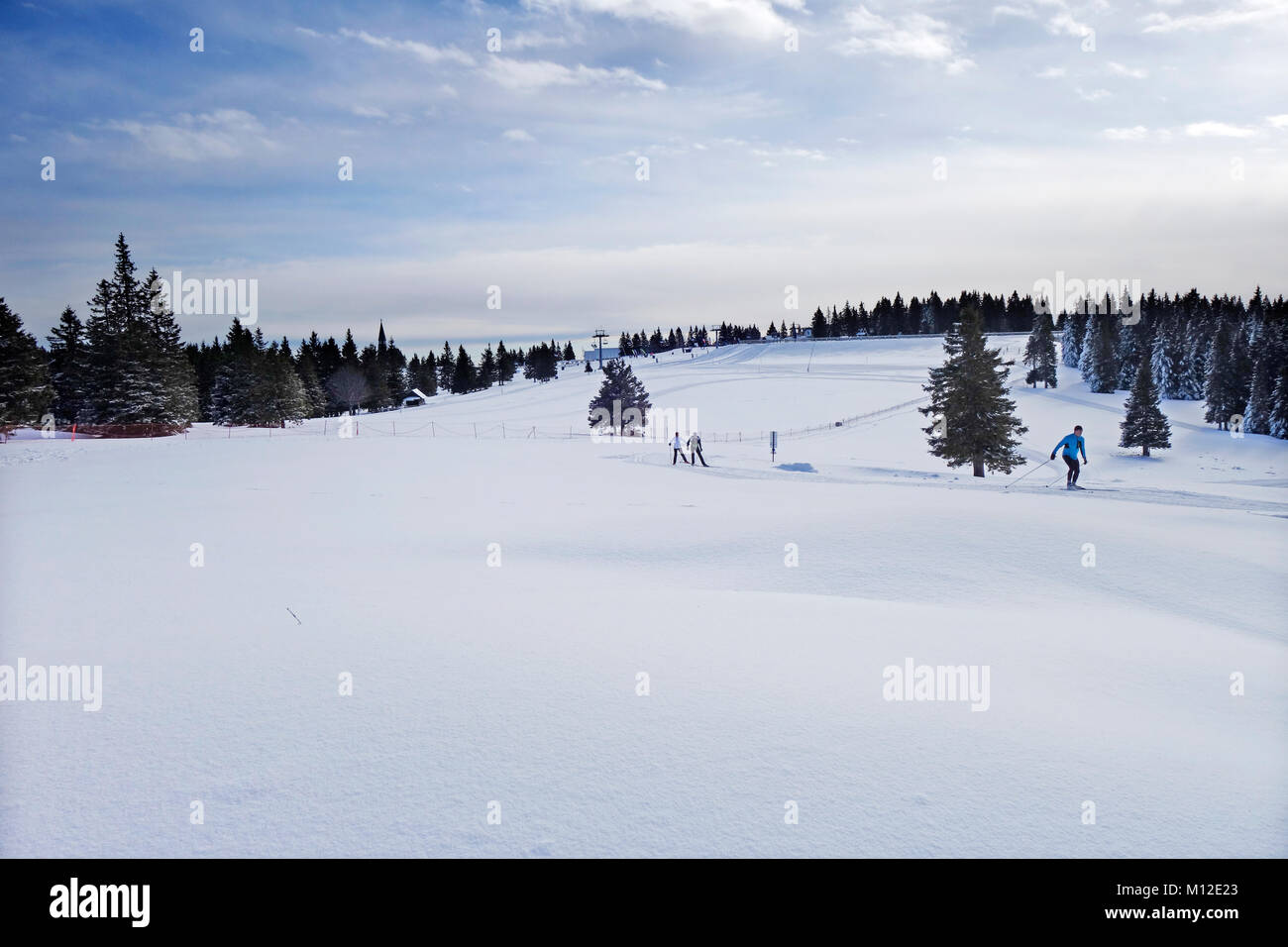 Rogla Plateau mit präparierten Loipen für Nordic Langlauf. Skigebiet Rogla, Slowenien Stockfoto