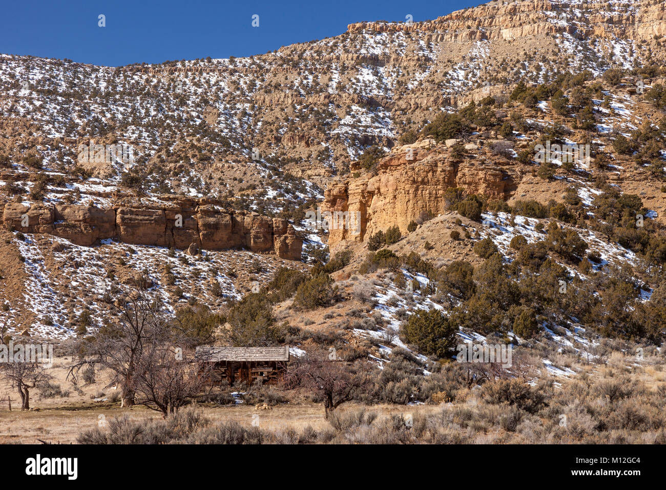 Alten, verlassenen Hütte in den Bergen in der Nähe von Thompson, Utah, USA Stockfoto