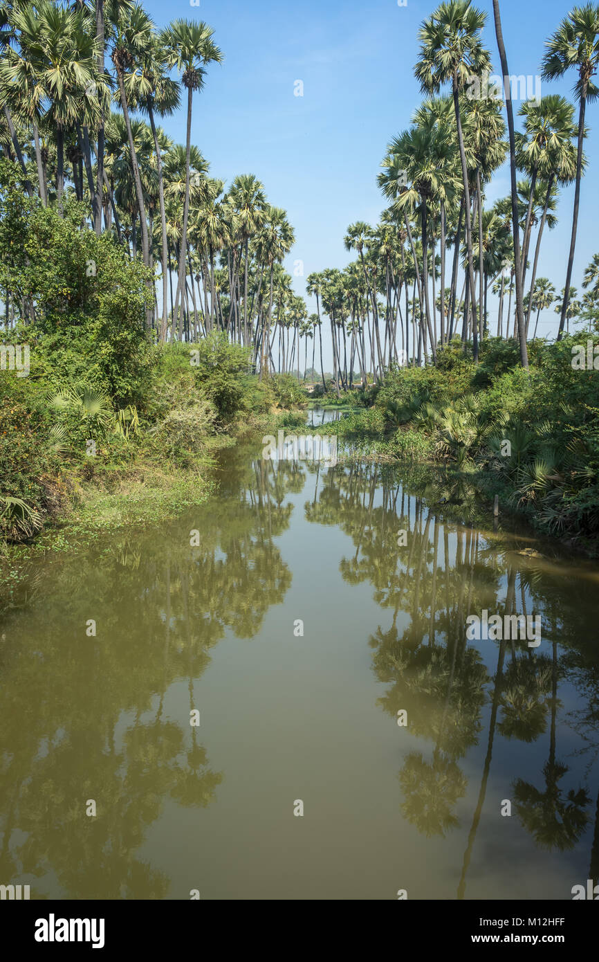 Palm Tree Zurück Gewässer Landschaft in Goa, Indien. Goa ist eine der beliebtesten Touristen Destination in Indien und Tausenden Touristen besucht Goa. Stockfoto