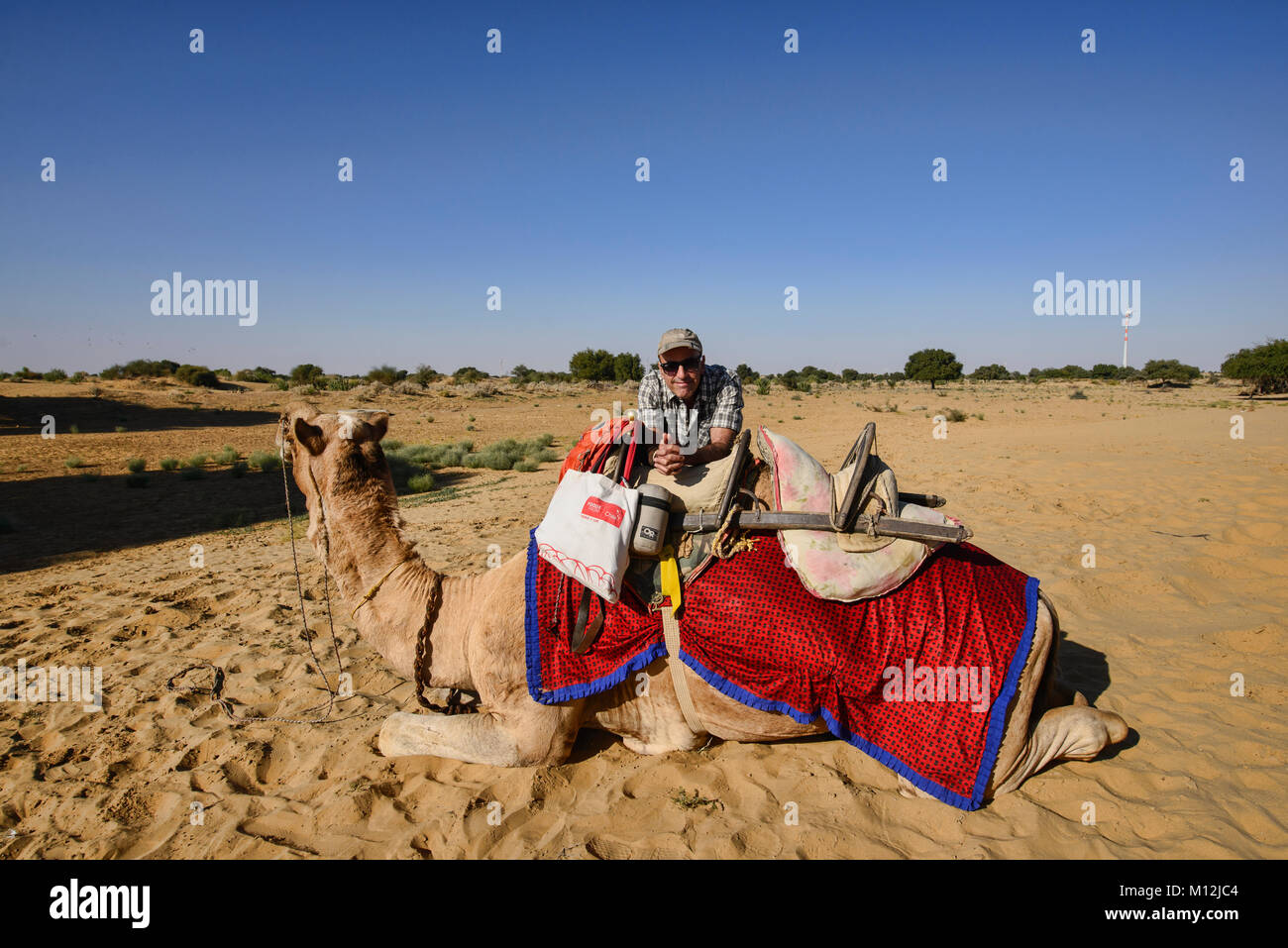 Laden Kamel ein Kamel Safari, Wüste Thar, Rajasthan, Indien Stockfoto