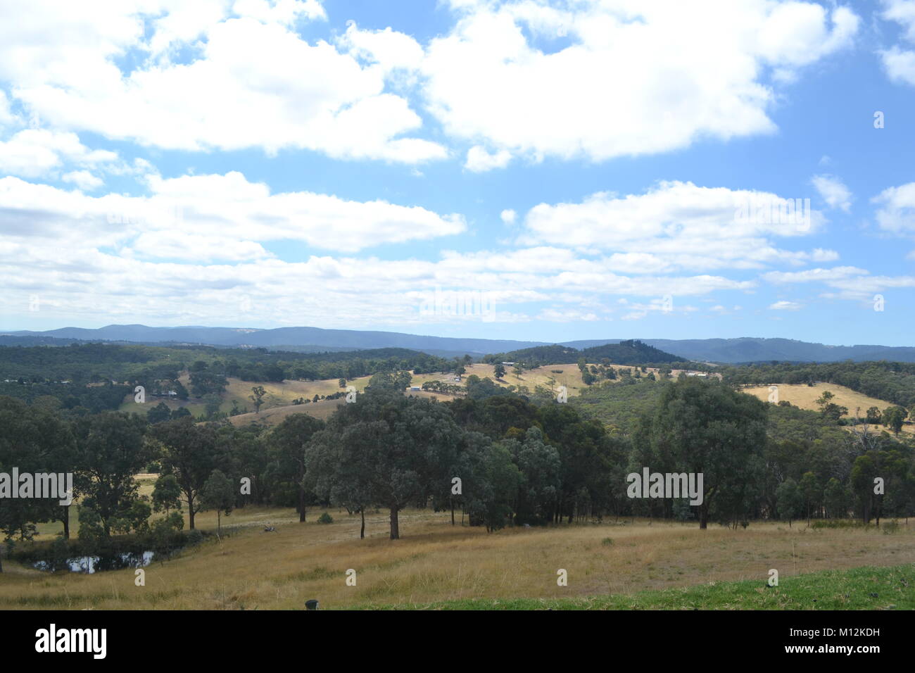 Australian Landscape Stockfoto