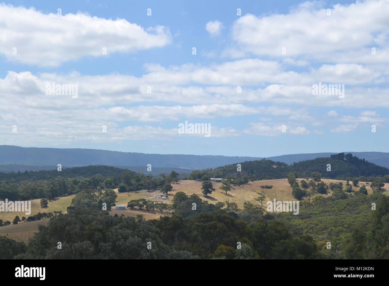 Australian Landscape Stockfoto