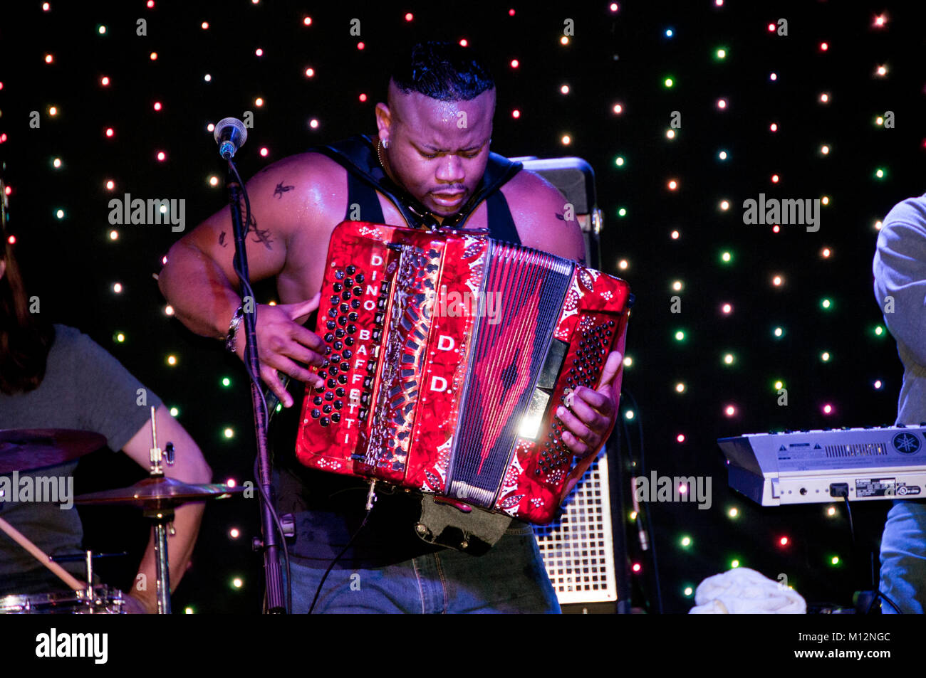 Schwarze Sängerin spielen accordian Stockfoto