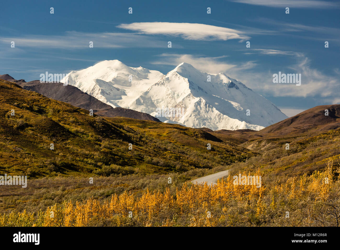 Denali (ehemals Mt. McKinley) über die letzten Herbstfarben im Denali National Park in Alaska. Stockfoto