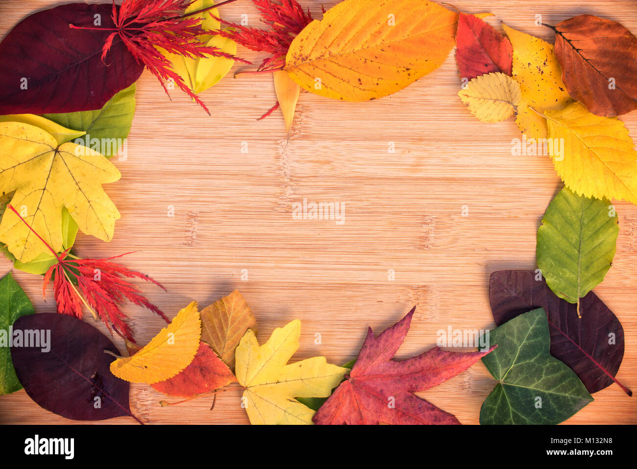 Rahmen der bunten herbstlichen Blätter, Holz- Hintergrund Stockfoto