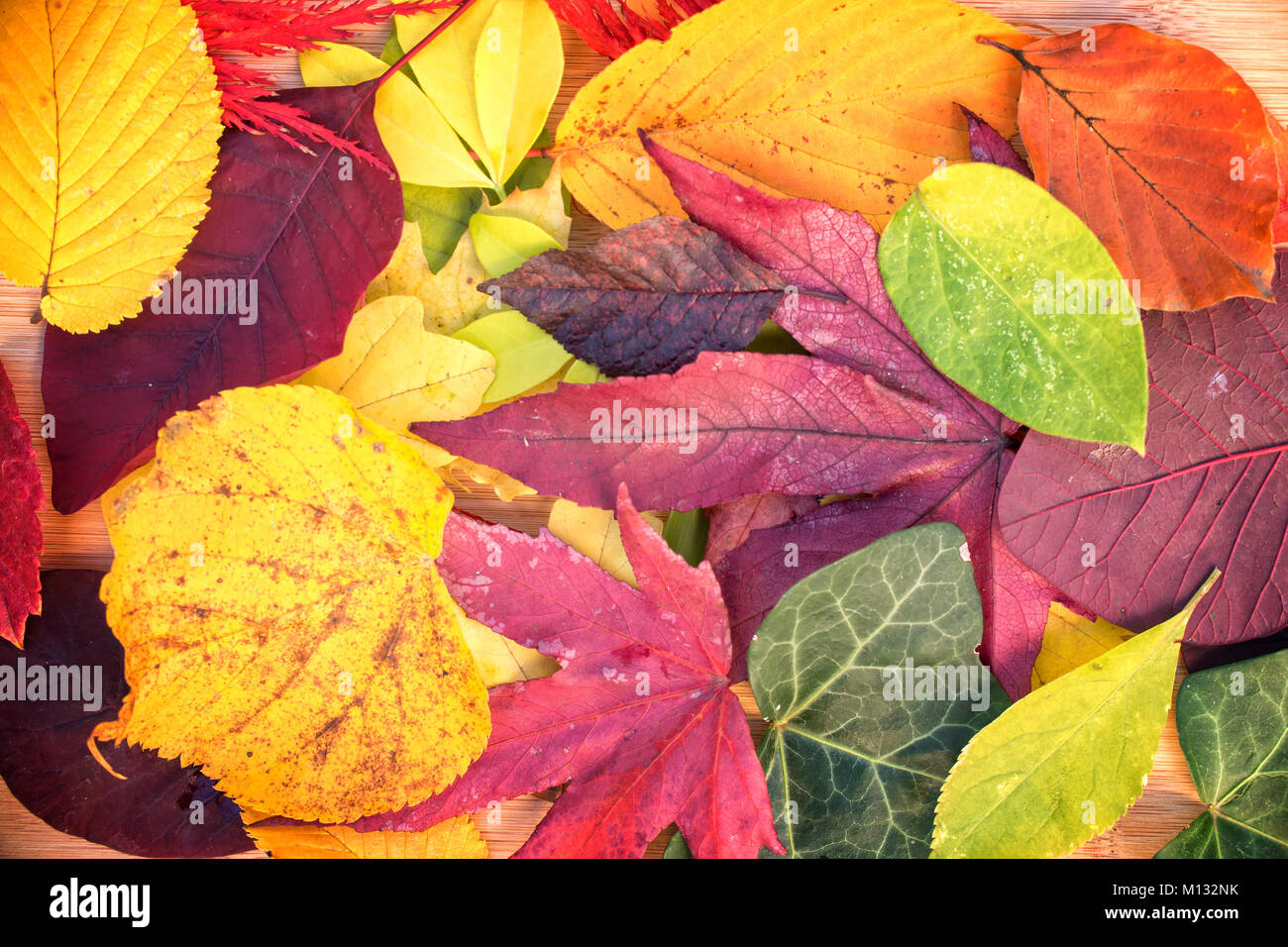 Hintergrund der bunten herbstlichen Blätter in der Nähe von Stockfoto