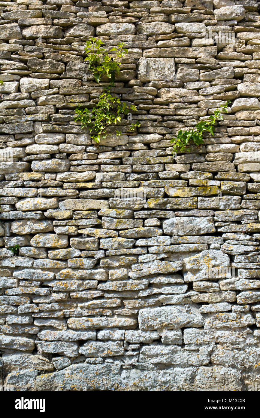 Alte Schutt Steinmauer mit Vegetation wächst an Es Stockfoto