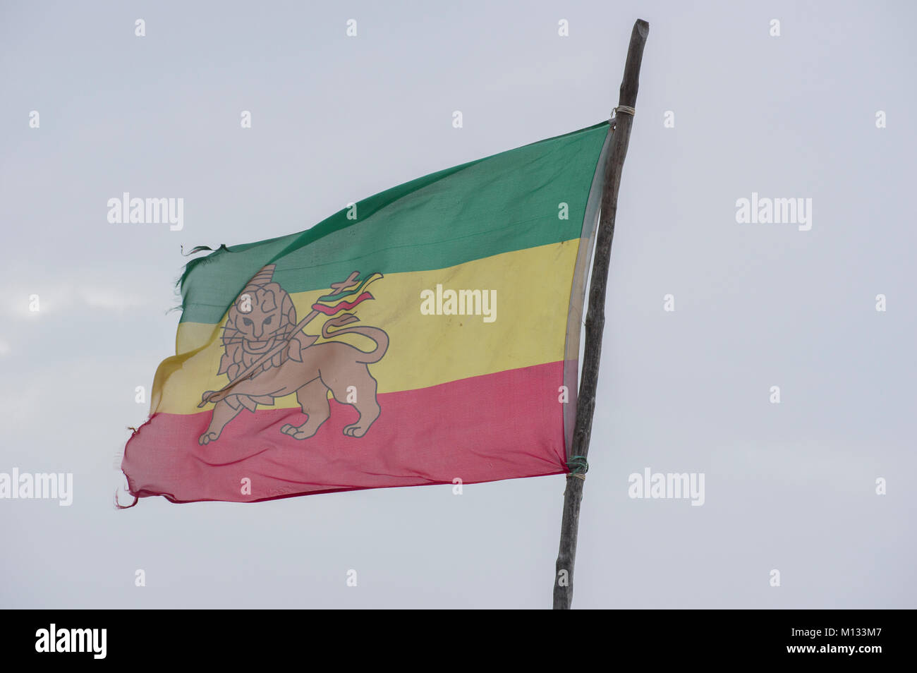 Leicht äthiopischen Löwen von Juda Flagge weht im Wind mit einem blauen Himmel Hintergrund abgerissen Stockfoto