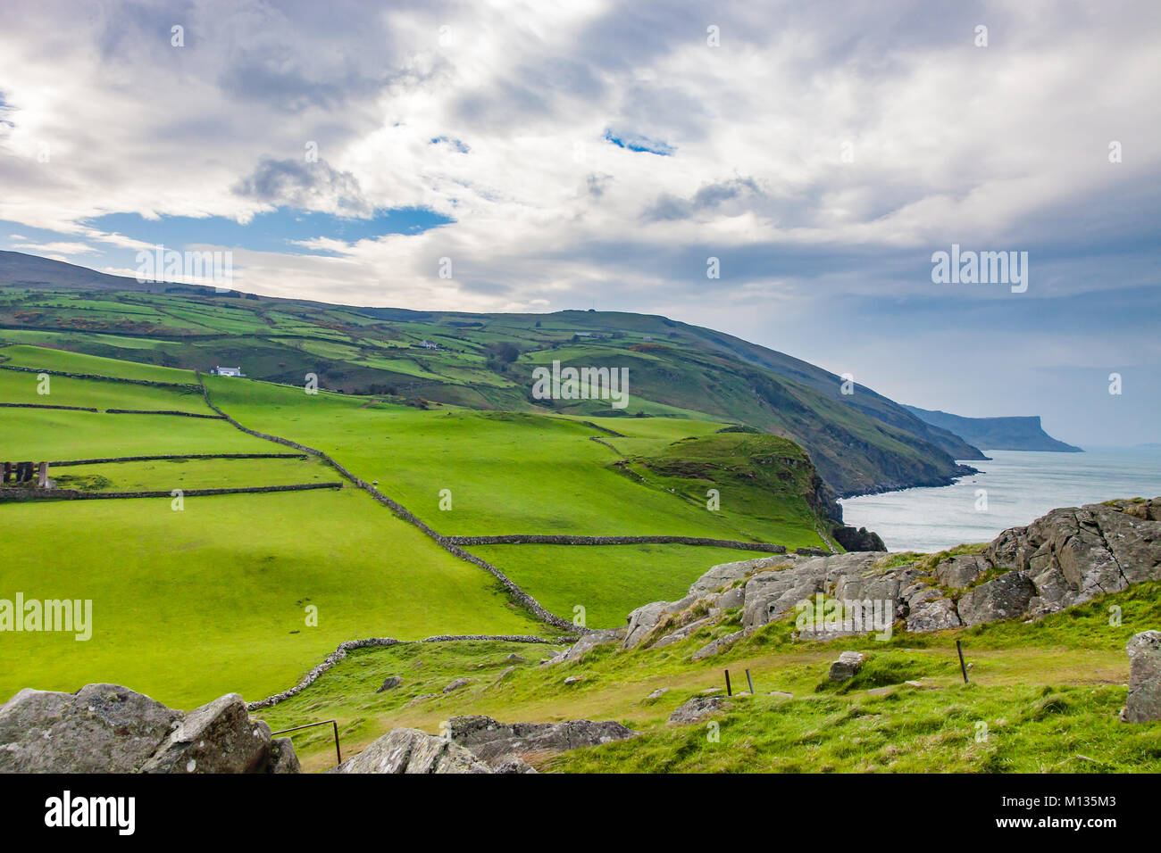 Grüne Wiesen und Weiden entlang der Küste in der Grafschaft Antrim, Irland in der Nähe von Kenmare Stockfoto