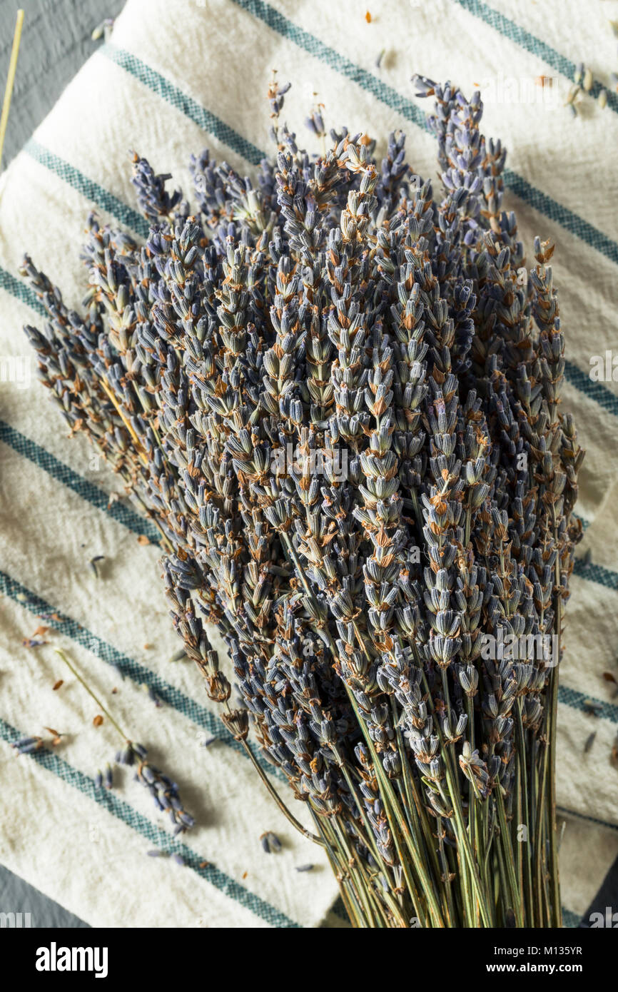Organic Lila trocken Lavendel in einem Paket Stockfoto