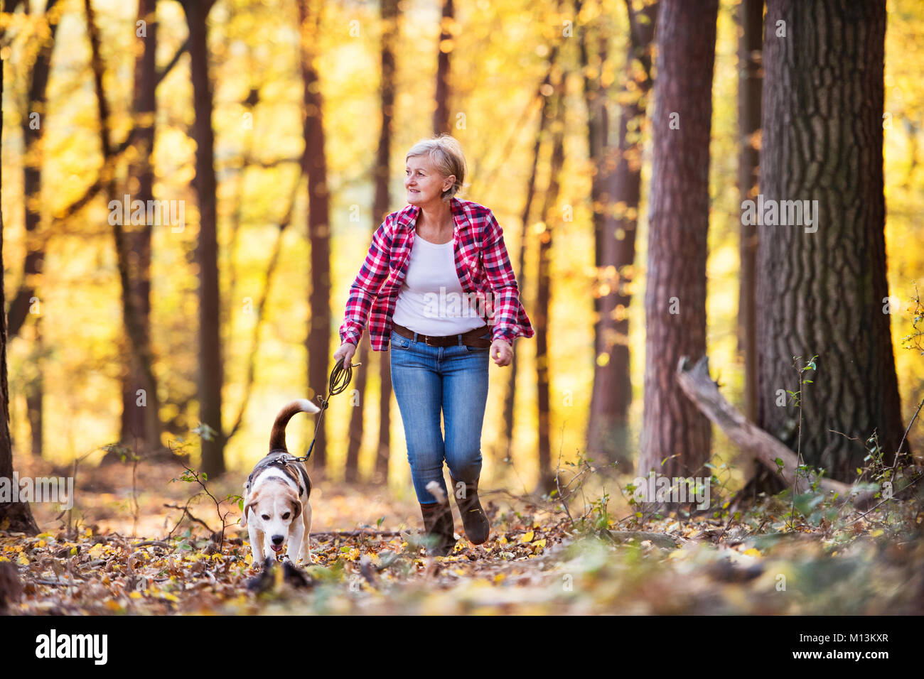 Ältere Frau mit Hund auf einem Spaziergang im Wald. Stockfoto