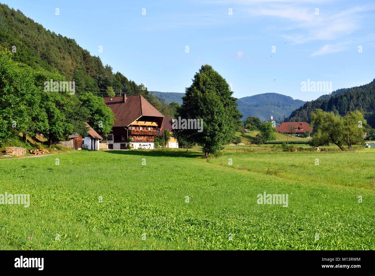 Deutschland, Baden Wurttemburg, Schwarzwald, in der Nähe von Triberg Stockfoto