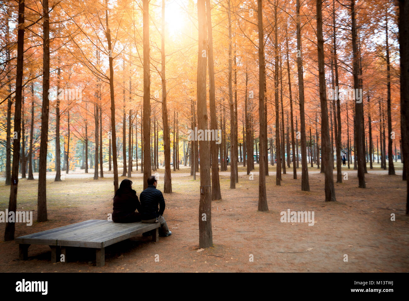 Touristen die schönen Besuch im Herbst rund um Insel Nami in Seoul, Südkorea. Stockfoto
