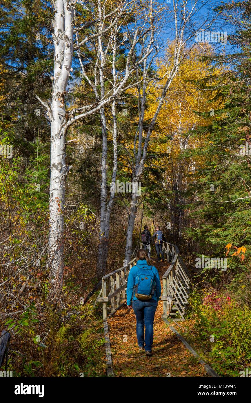 Kanada, Provinz Quebec, Region Abitibi-Témiscamingue, Aiguebelle National Park, Wanderweg Model Release OK Stockfoto Kanada, Provinz Quebec, Region Abitibi-Témiscamingue, Aiguebelle National Park, Wanderweg Model Release OK Stockfoto