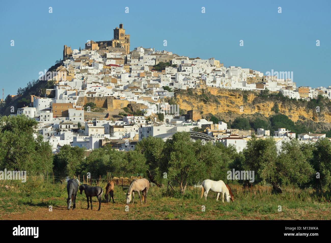 Spanien, Andalusien, weiße Dorf Arcos De La Frontera Stockfoto