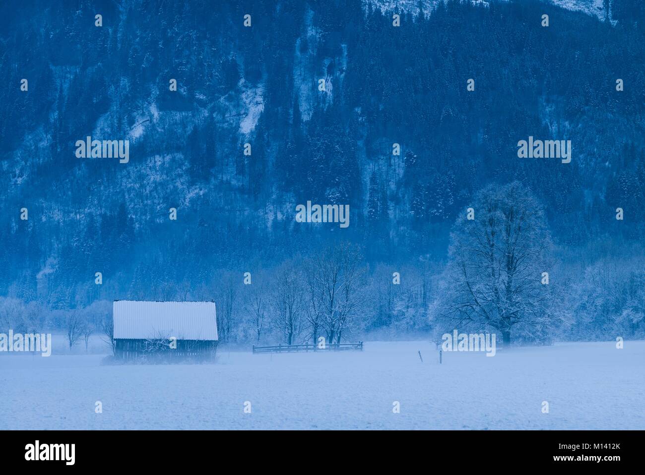 Österreich, Steiermark, Reithtal, Winterlandschaft Stockfoto
