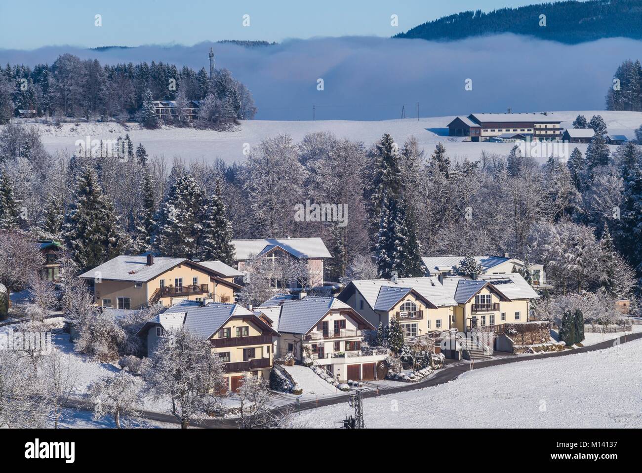 Österreich, Salzburger Land, Hof bei Salzburg, Winterlandschaft Stockfoto